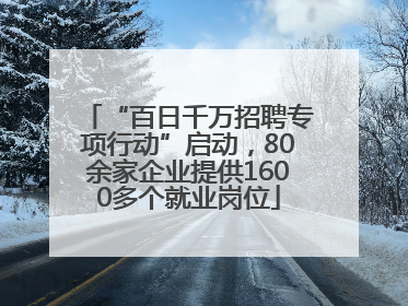 “百日千万招聘专项行动”启动，80余家企业提供1600多个就业岗位